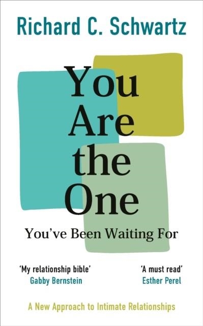 YOU ARE THE ONE YOU’VE BEEN WAITING FOR : A NEW APPROACH TO INTIMATE RELATIONSHIPS WITH THE INTERNAL FAMILY SYSTEMS MODEL | 9781785045127 | RICHARD SCHWARTZ 