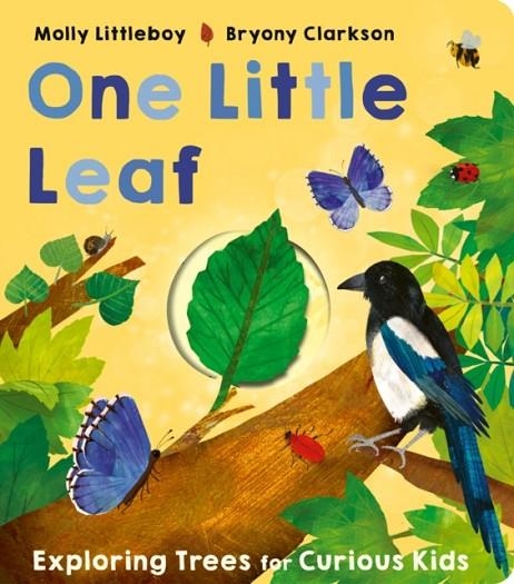 ONE LITTLE LEAF | 9781801044615 | MOLLY LITTLEBOY