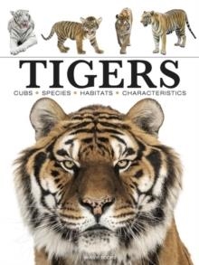 TIGERS | 9781838862602 | PAULA HAMMOND