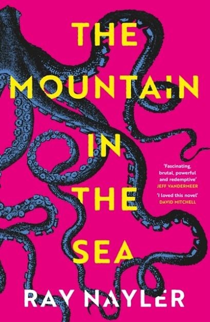 THE MOUNTAIN IN THE SEA | 9781399600484 | RAY NAYLER