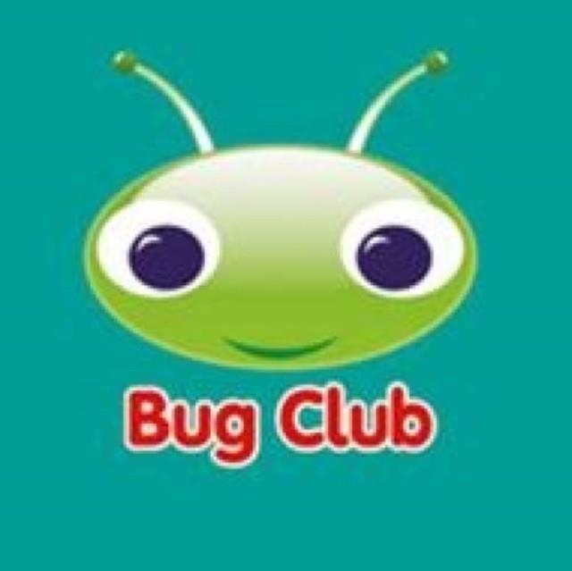 BUG CLUB COMPREHENSION Y4 A TALE OF TWO POGGLES 12 PACK | 9780435181284