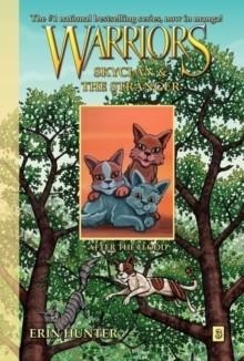 WARRIORS SKYCLAN & THE STRANGER 3 AFTER | 9780062008381 | ERIN HUNTER 