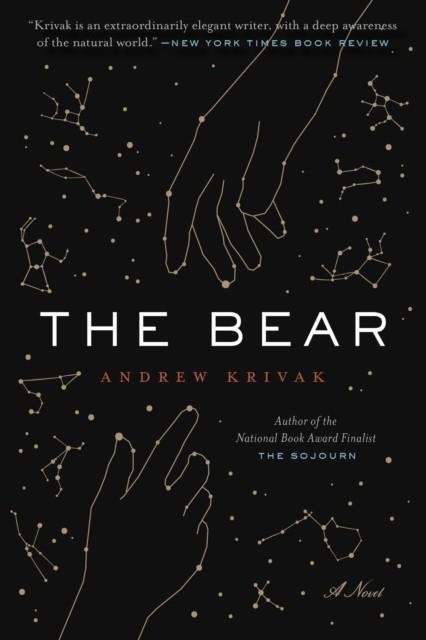 THE BEAR | 9781942658702 | ANDREW KRIVAK