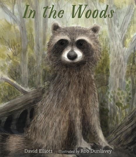 IN THE WOODS | 9780763697839 | DAVID ELLIOT