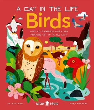 BIRDS (A DAY IN THE LIFE) : WHAT DO FLAMINGOS, OWLS, AND PENGUINS GET UP TO ALL DAY? | 9781838992705