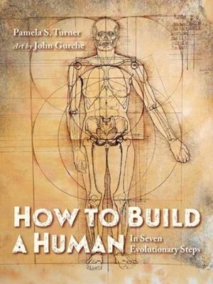 HOW TO BUILD A HUMAN | 9781623542504 | PAMELA S. TURNER , JOHN GURCHE