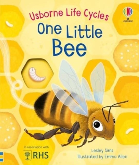 ONE LITTLE BEE | 9781805312628