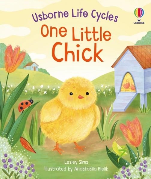 ONE LITTLE CHICK | 9781805312253