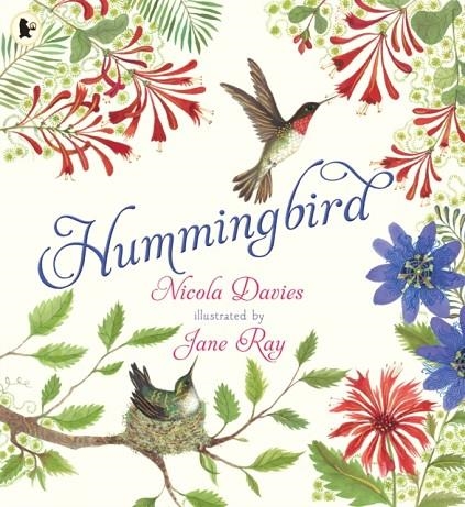 HUMMINGBIRD | 9781529523874 | DAVIES AND RAY