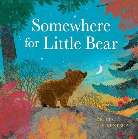 SOMEWHERE FOR LITTLE BEAR | 9781408359723 | BRITTA TECKENTRUP