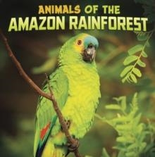 ANIMALS OF THE AMAZON RAINFOREST | 9781398224797 | MARI SCHUH