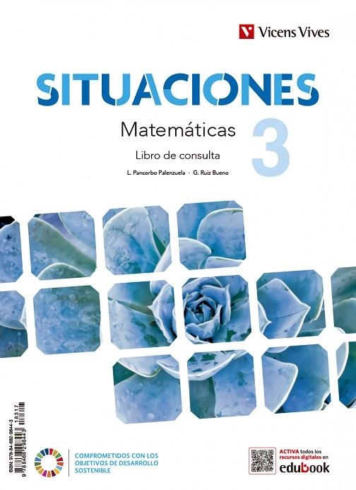 MATEMATICAS 3 ESO SITUACIONES | 9788468299006