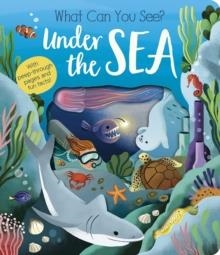 WHAT CAN YOU SEE? UNDER THE SEA | 9781801045551 | MOLLY LITTLEBOY