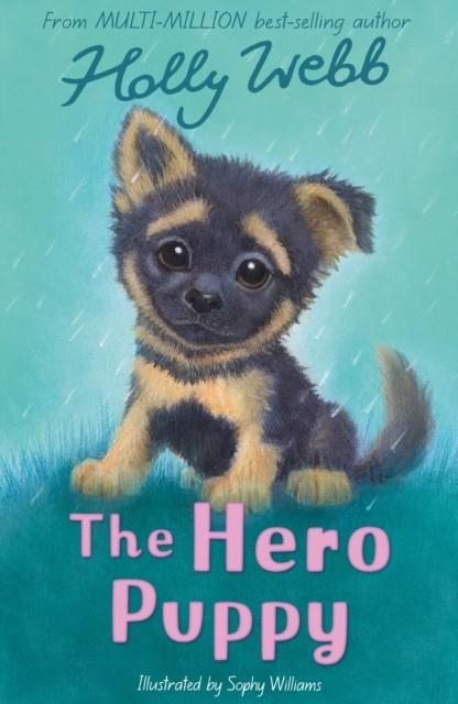 THE HERO PUPPY | 9781788956499 | HOLLY WEBB