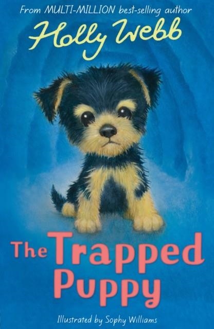 THE TRAPPED PUPPY | 9781788955669 | HOLLY WEBB