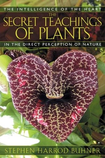 THE SECRET TEACHINGS OF PLANTS | 9781591430353 | STEPHEN HARROD BUHNER