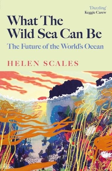 WHAT THE WILD SEA CAN BE | 9781804710517 | HELEN SCALES