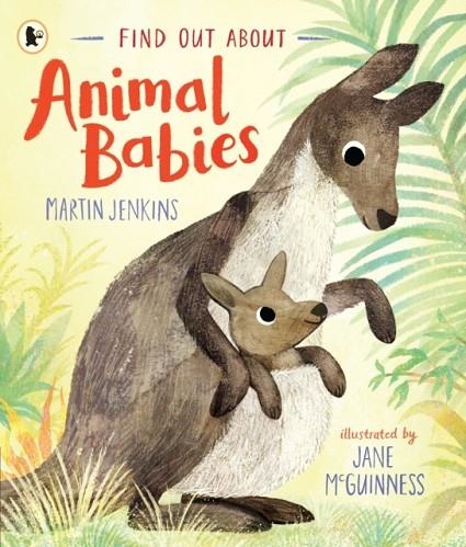 FIND OUT ABOUT ... ANIMAL BABIES | 9781529503838 | MARTIN JENKINS