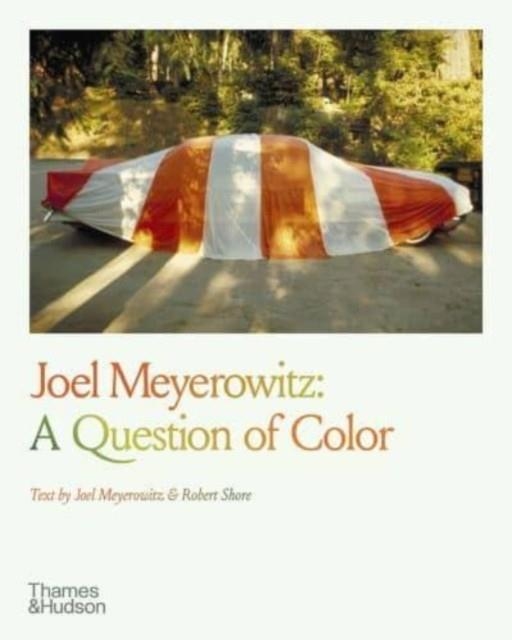 JOEL MEYEROWITZ | 9780500297896 | JOEL MEYEROWITZ , ROBERT SHORE