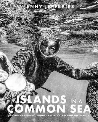 ISLANDS IN A COMMON SEA | 9781915538208 | JENNY JEFFERIES