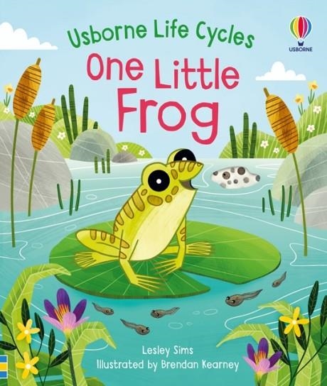 ONE LITTLE FROG | 9781474998819 | LESLEY SIMS