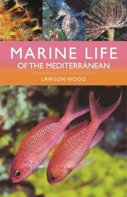 MARINE LIFE OF THE MEDITERRANEAN | 9781399411707 | LAWSON WOOD