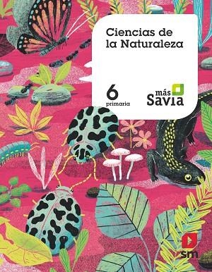 6º EP CIENCIAS DE LA NATURALEZA (MEC) MAS SA 19 | 9788491822899