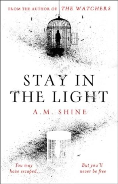 STAY IN THE LIGHT | 9781804547946 | A M SHINE