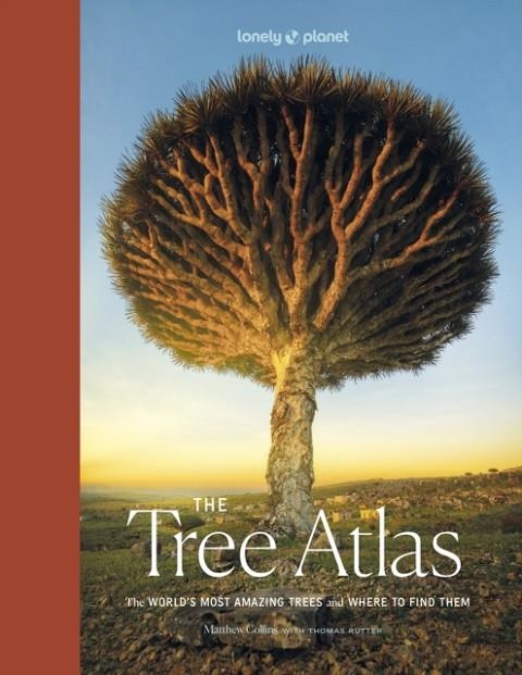 THE TREE ATLAS 1 | 9781837582679