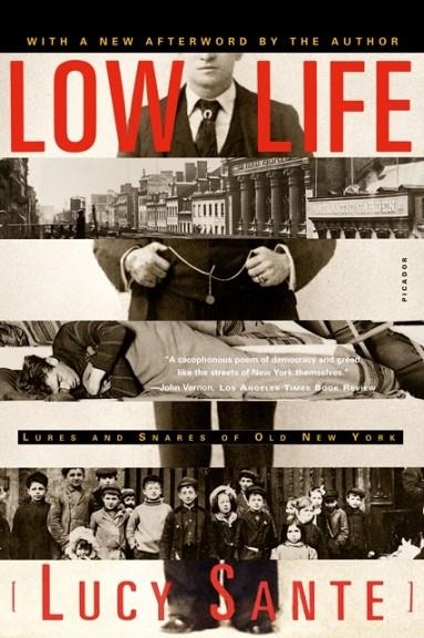 LOW LIFE : LURES AND SNARES OF OLD NEW YORK | 9780374528997 | LUCY SANTE