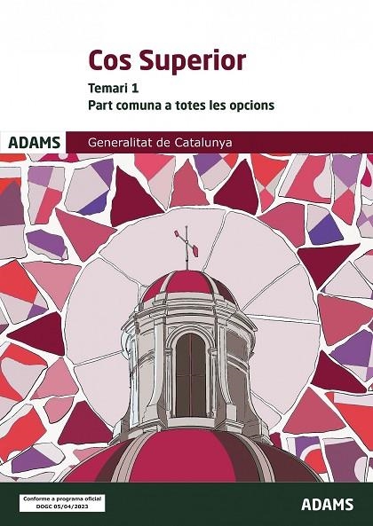 TEMARI 1 COS SUPERIOR, PART COMUNA A TOTES LES OPCIONS, GENERALITAT DE CATALUNYA | 9788411166720 | VARIOS AUTORES