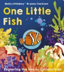 ONE LITTLE FISH | 9781801045650 | MOLLY LITTLEBOY