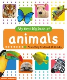 MY FIRST BIG BOOK OF ANIMALS | 9781912646074 | PITCHBALL AND GUNZI