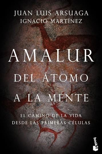 AMALUR | 9788423355365 | IGNACIO  MARTÍNEZ/JUAN LUIS  ARSUAGA