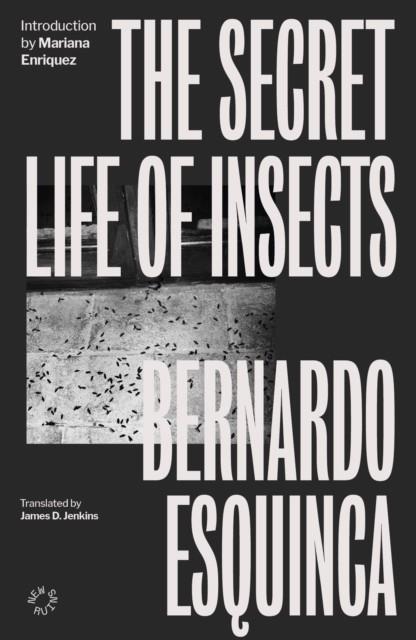 THE SECRET LIFE OF INSECTS | 9781838171643 | BERNARDO ESQUINCA