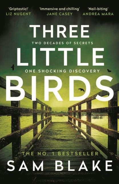 THREE LITTLE BIRDS | 9781805460145 | SAM BLAKE