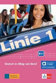 LINIE 1 B1.1 ALUM+EJER HIBRIDO+ALLANGO | 9783126072960 | VVAA