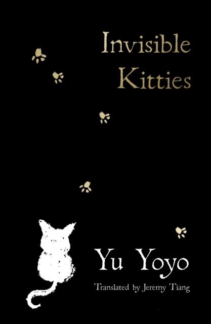 INVISIBLE KITTIES | 9780008719302 | YU YOYO