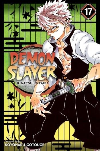 DEMON SLAYER 17 | 9781974710614