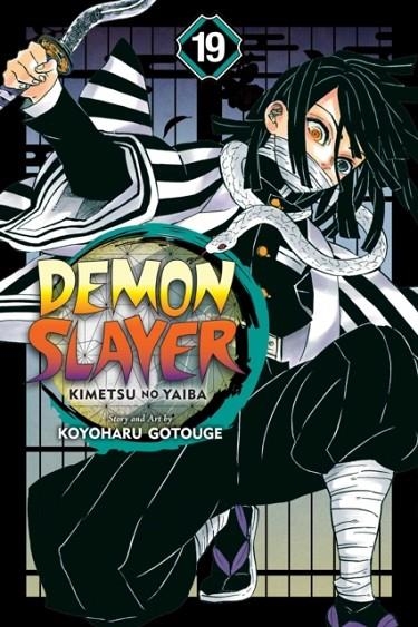 DEMON SLAYER 19 | 9781974718115