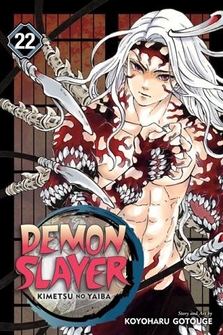 DEMON SLAYER 22 | 9781974723416