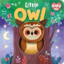 LITTLE OWL | 9781837954827 | IGLOO BOOKS