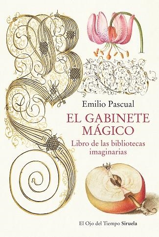 EL GABINETE MÁGICO | 9788419553041 | PASCUAL, EMILIO