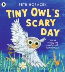 TINY OWL'S SCARY DAY | 9781529517194 | PETR HORACEK