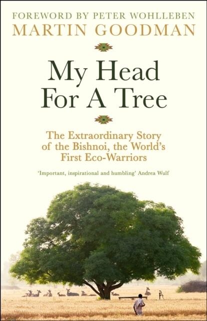 MY HEAD FOR A TREE | 9781800818712 | MARTIN GOODMAN