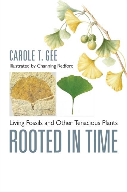 ROOTED IN TIME | 9781421449388 | CAROLE T. GEE