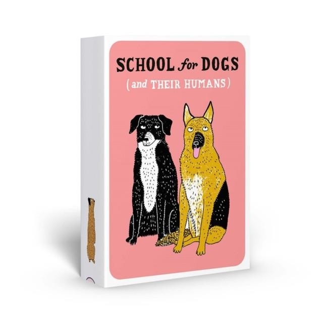 SCHOOL FOR DOGS (AND THEIR HUMANS) | 9781837760473 | SOPHIE COLLINS