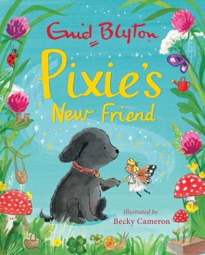 PIXIE'S NEW FRIEND | 9781444949513 | ENID BLYTON