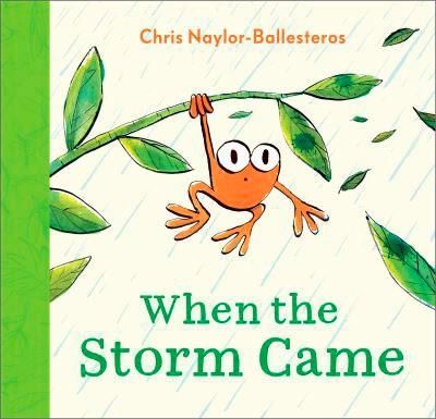 WHEN THE STORM CAME | 9781839132582 | CHRIS NAYLOR-BALLESTEROS