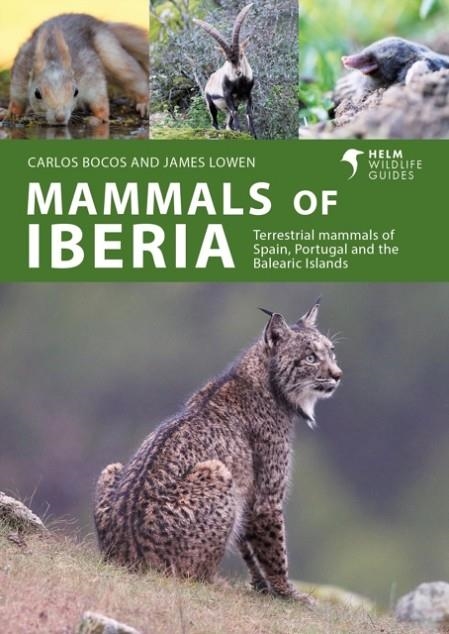 MAMMALS OF IBERIA | 9781399411936 | JAMES LOWEN